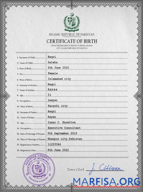 Downloadable Pakistan vital record birth certificate PSD template